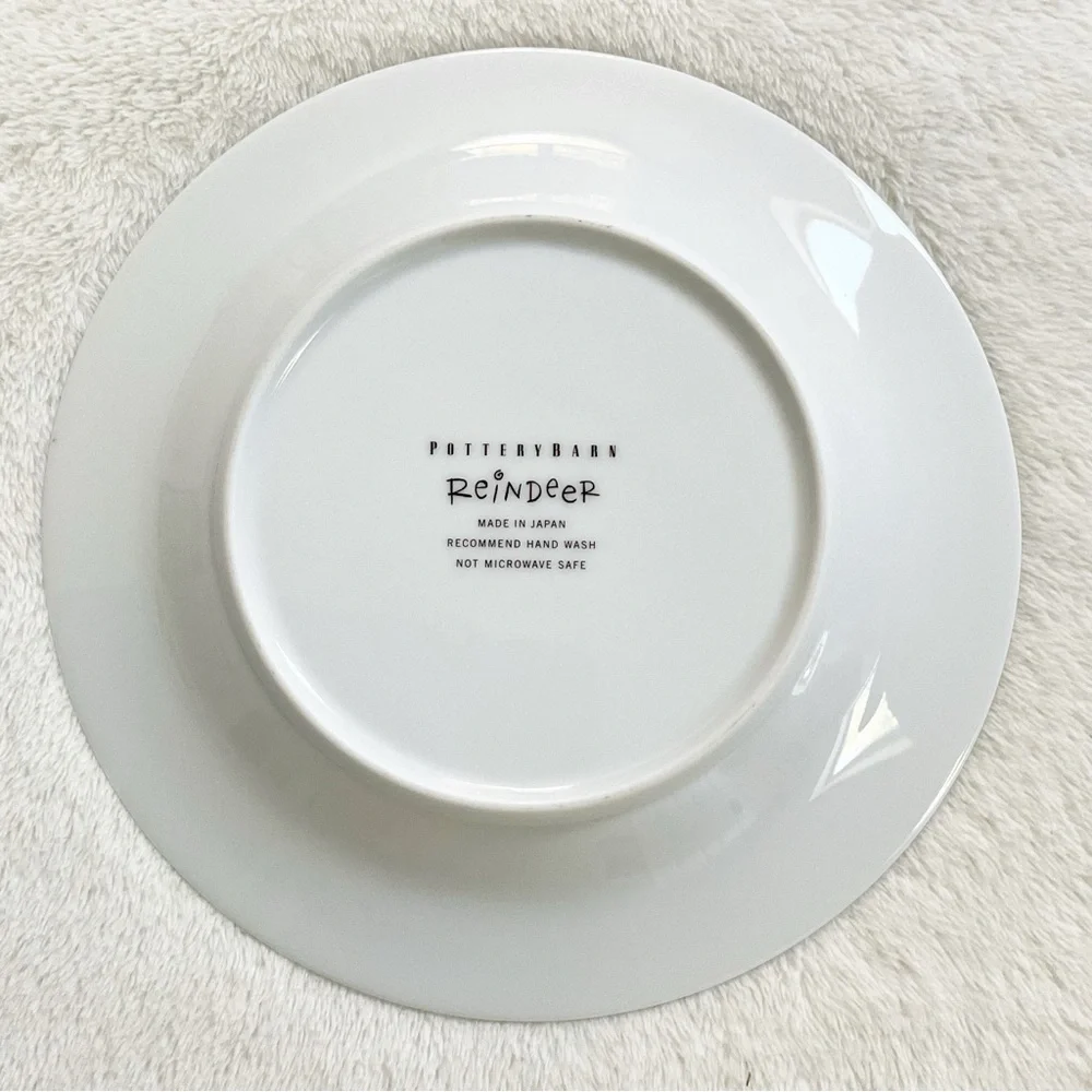 Pottery Barn Comet Reindeer Salad Plate 8.5” Japan Christmas Deer Silver Rim